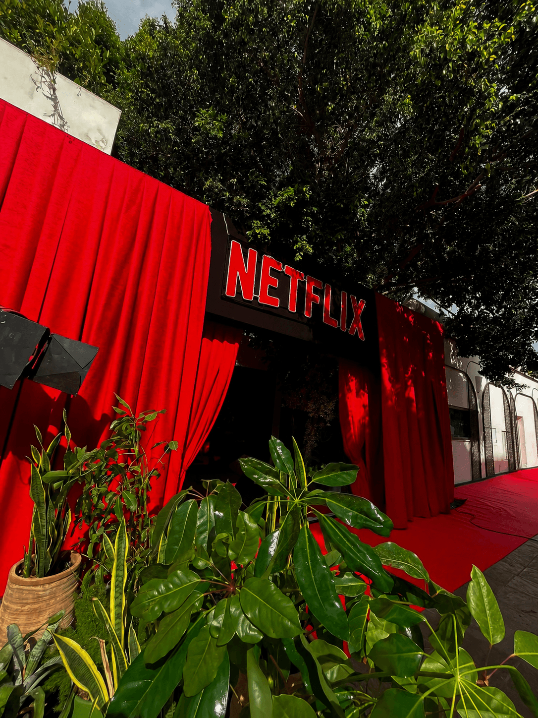 Acceso evento Netflix · alfombra roja